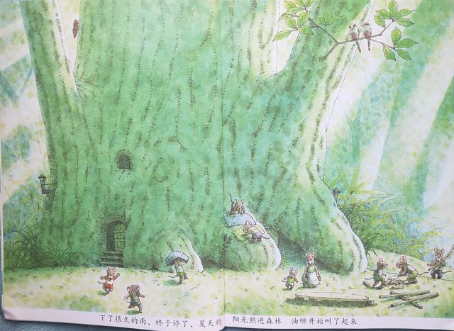 14只老鼠洗衣服阅读笔记,14只老鼠洗衣服的绘本故事