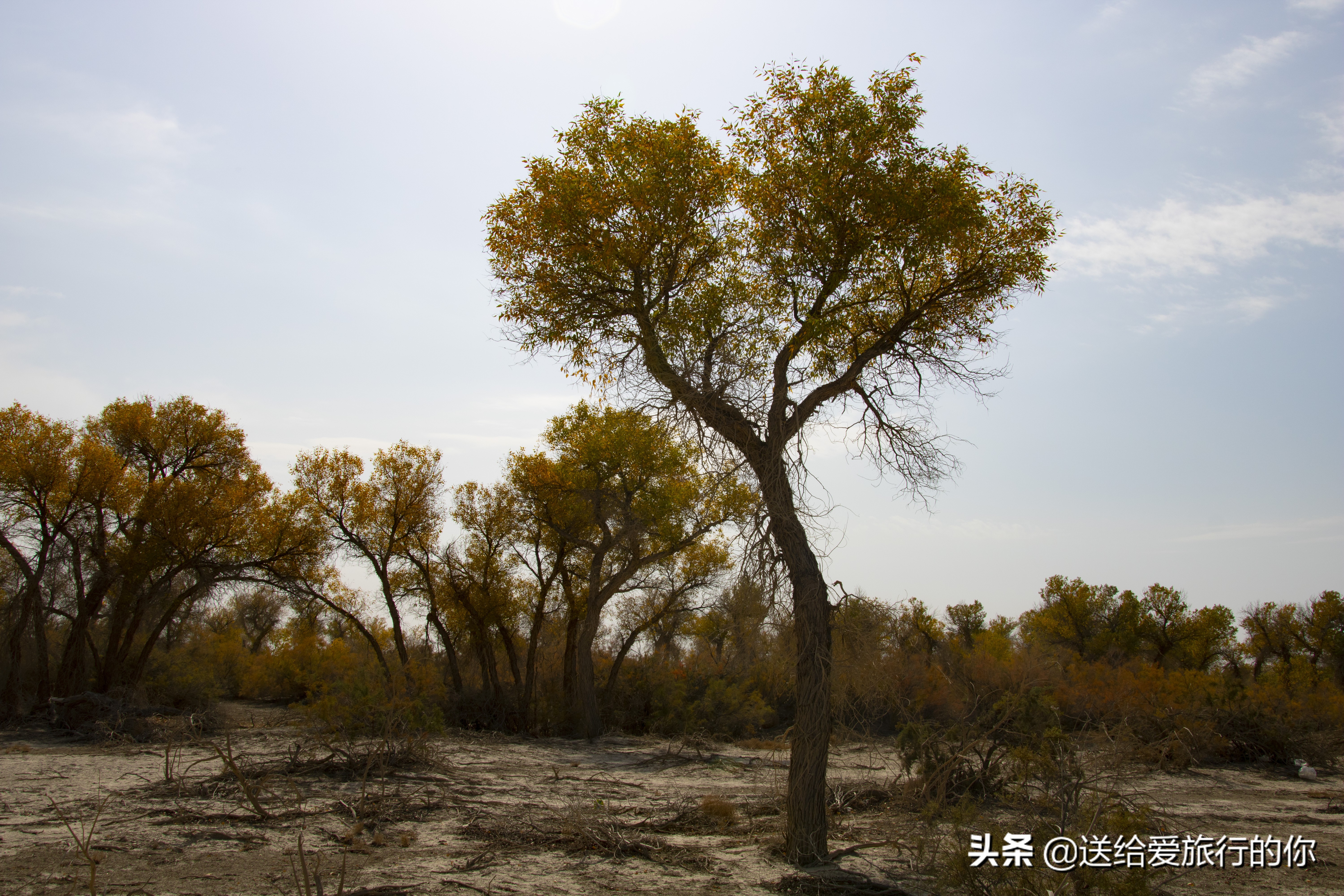 新疆喀什有什么变化,喀什到底有什么魅力