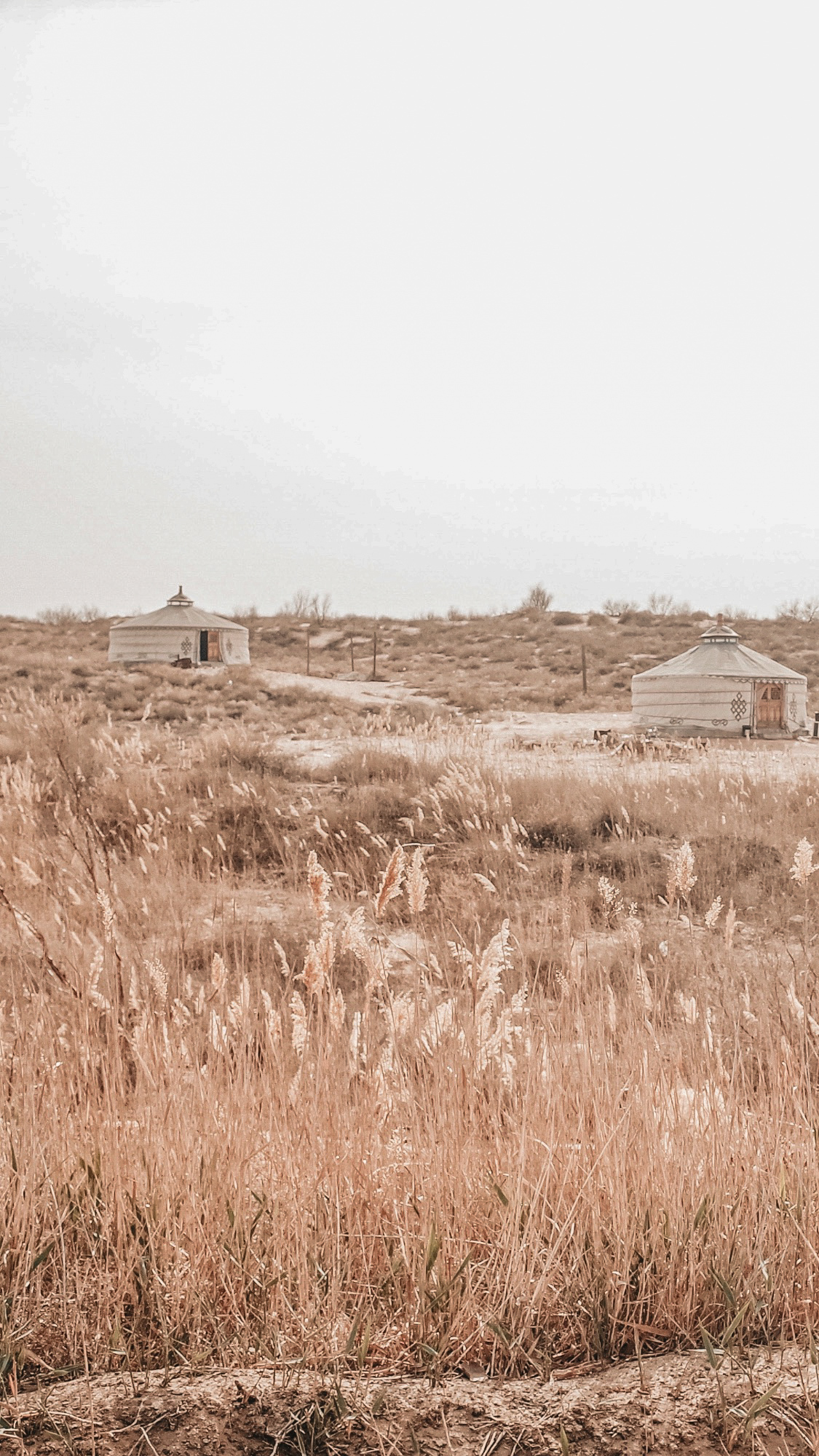 银川周边自驾沙漠,榆林市毛乌素沙漠自驾游