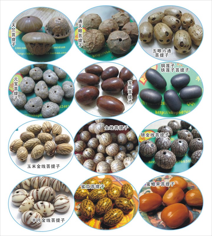 尼泊尔金刚菩提108颗种类,大金刚菩提哪个种类好