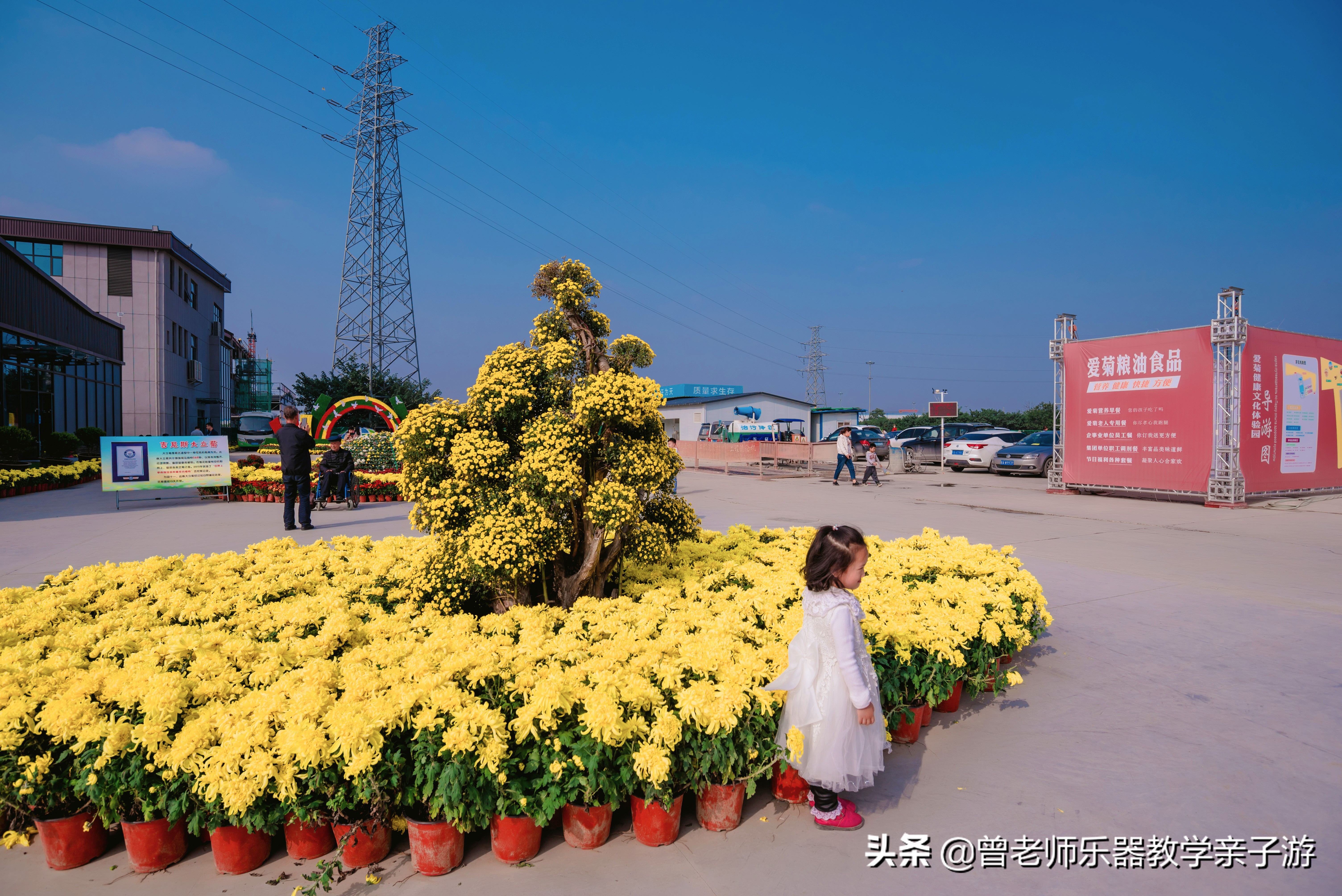 爱菊研学游,爱菊丝路文化菊花园西安