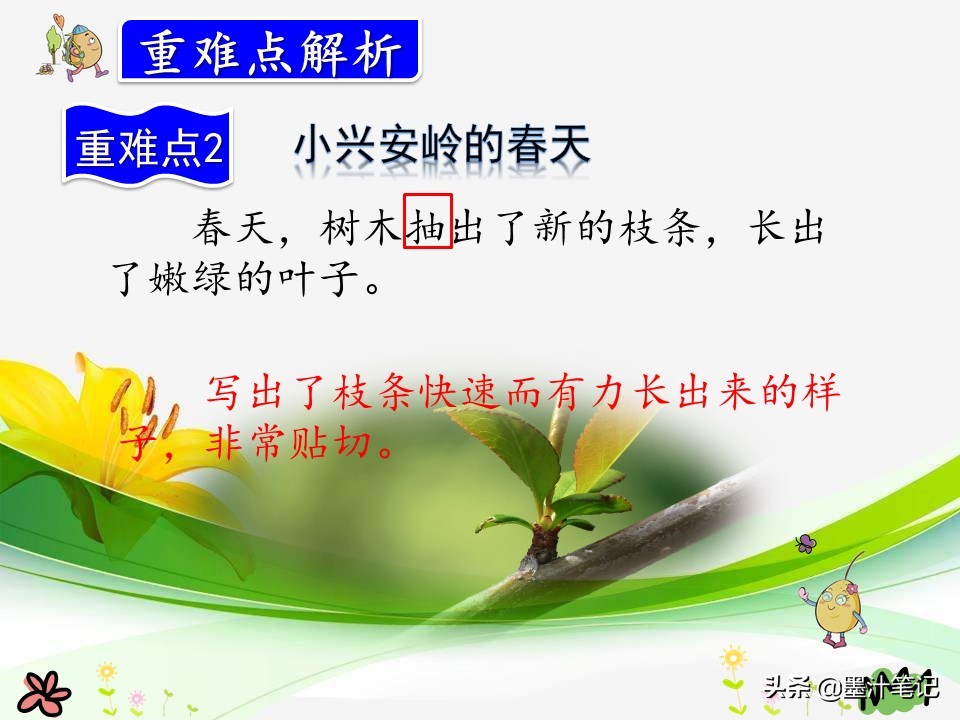 美丽的小兴安岭课文讲解人教版,三上语文美丽的小兴安岭课文讲解