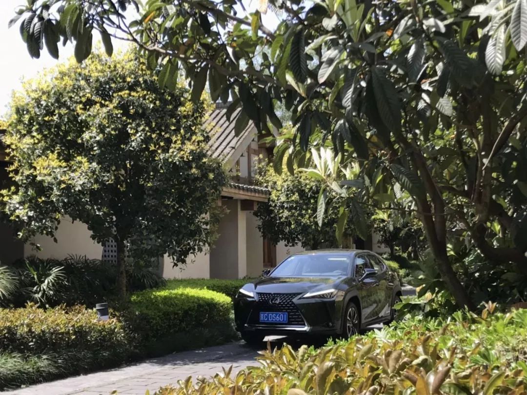 雷克萨斯ux有没有重大缺陷,买雷克萨斯ux的10大忠告