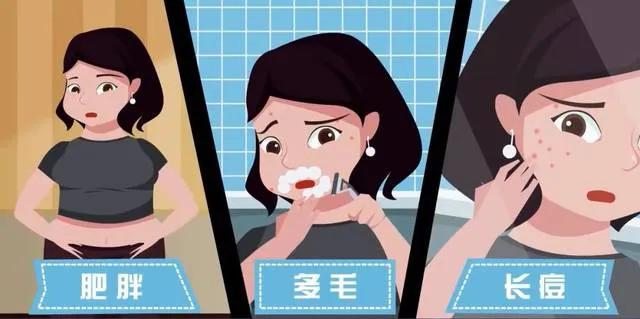 睾酮t是什么意思,睾酮t1期