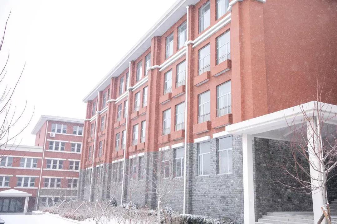 民办学校大连艺术学院全国排名,大连艺术学院辽宁排名