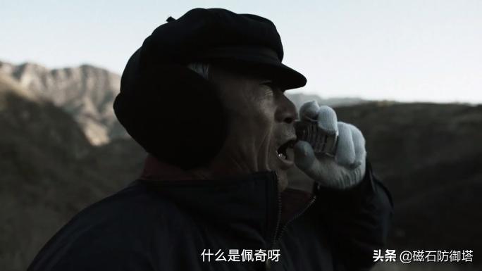 猪年话猪：从野猪到佩奇，猪影响了中国多久？