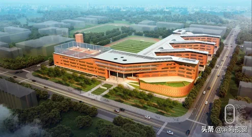 赞!新区这所新建校太炫酷,地下设专门接送学生车道