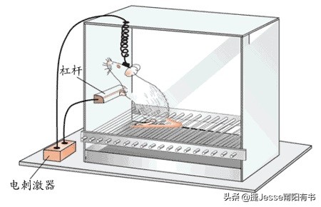 自律戒瘾书,改变认知戒瘾的书
