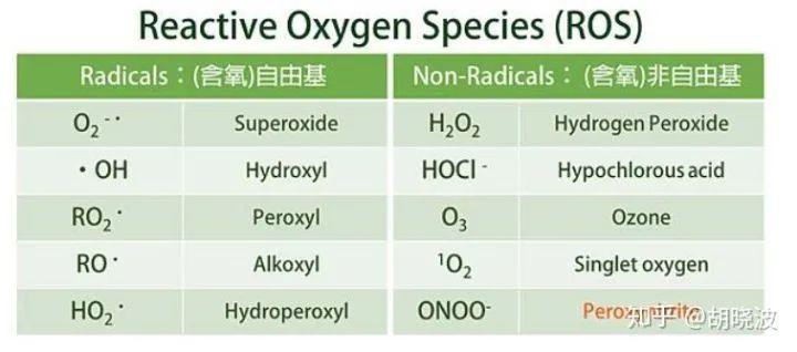 左旋c超强抗氧化剂,超强抗氧化剂木酚素