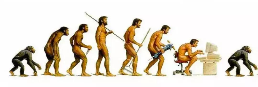 为什么我劝你别轻易get杨幂同款,杨幂同款有些什么