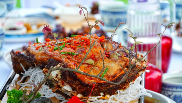 南浔不仅仅只有古镇,跟着我去玩不一样的南浔