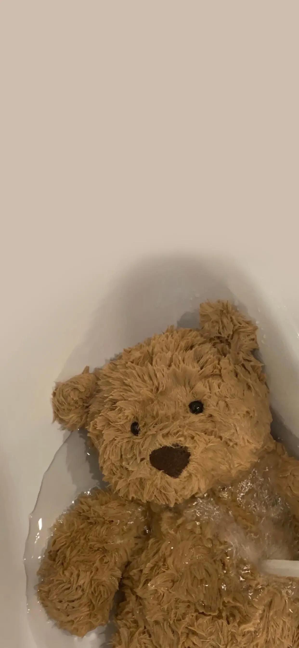 憨憨的壁纸图,关于憨憨的壁纸