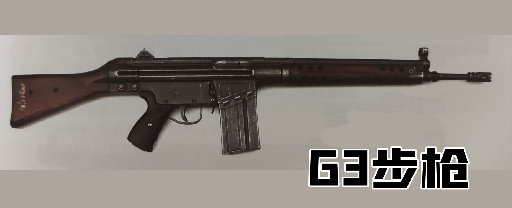 英国枪史图册全篇,德国枪图片