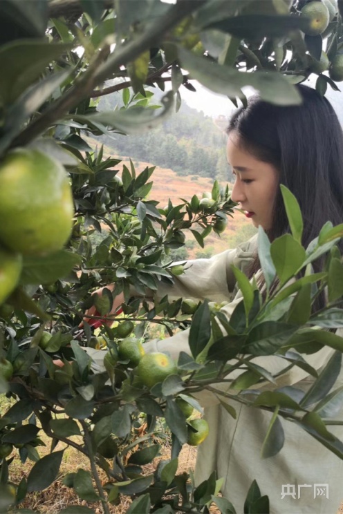 长征路上新青年丨创业英雄“瑶姑娘”：广阔农村大有可为做新时代“三农”青年