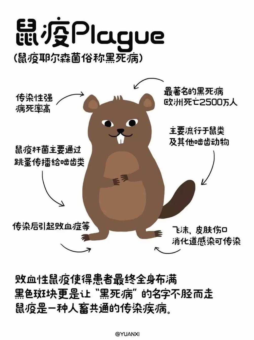 欧洲瘟疫死亡2500万人是哪一年,人类最大的瘟疫