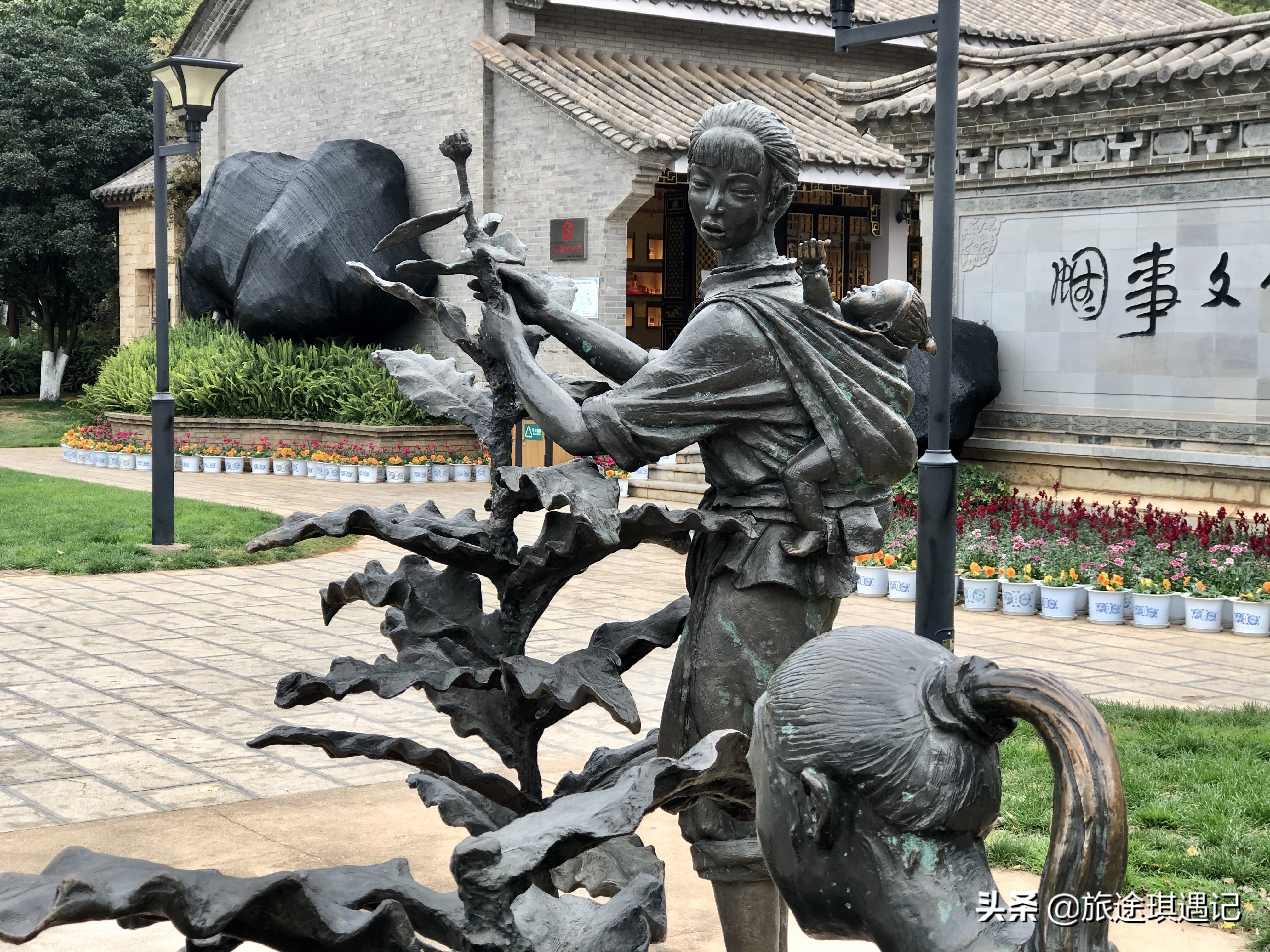 来玉溪的感受,来玉溪感受生物多样性之美