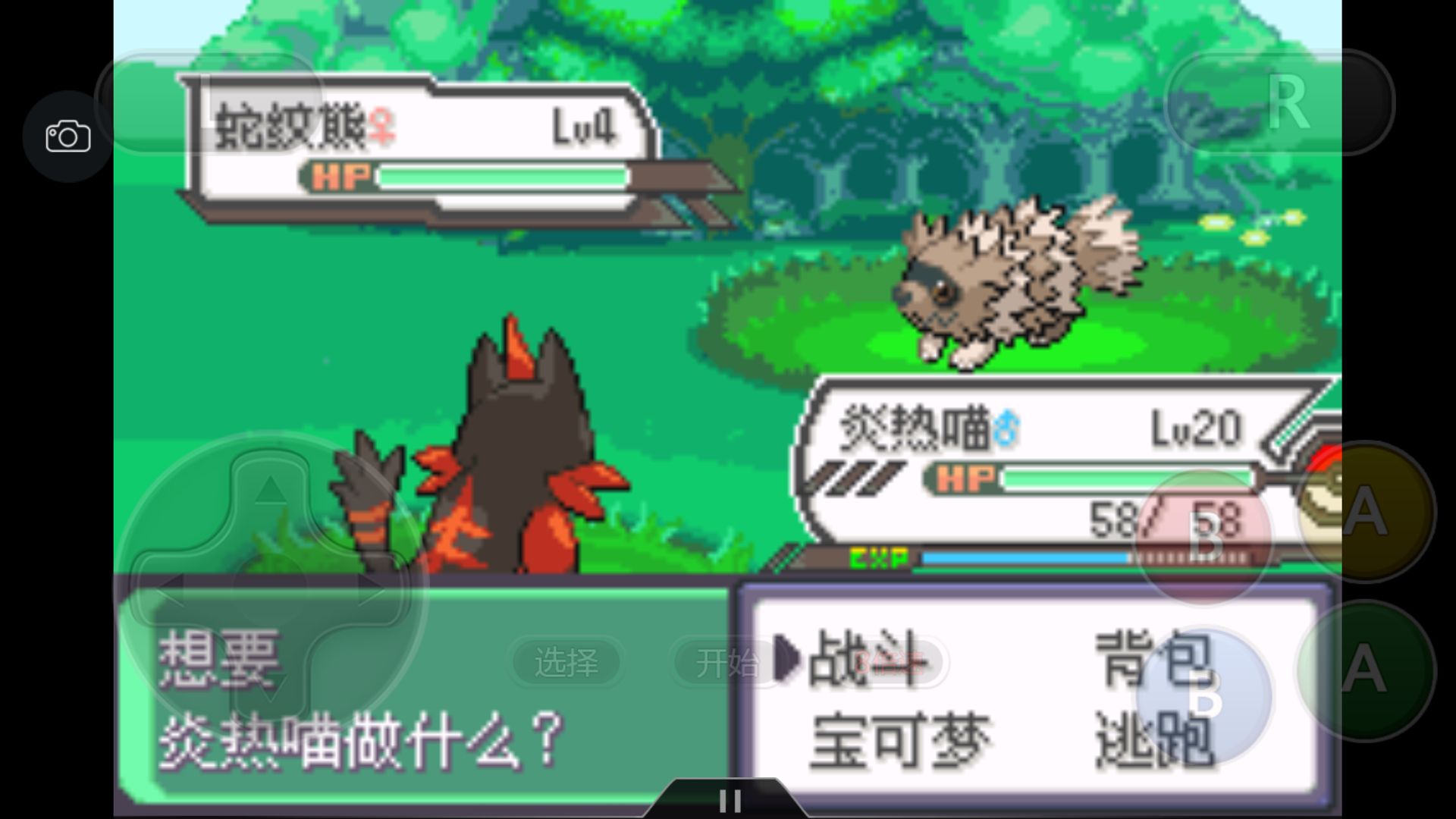 究极绿宝石4一周目攻略图文,究极绿宝石4小智一周目攻略图文