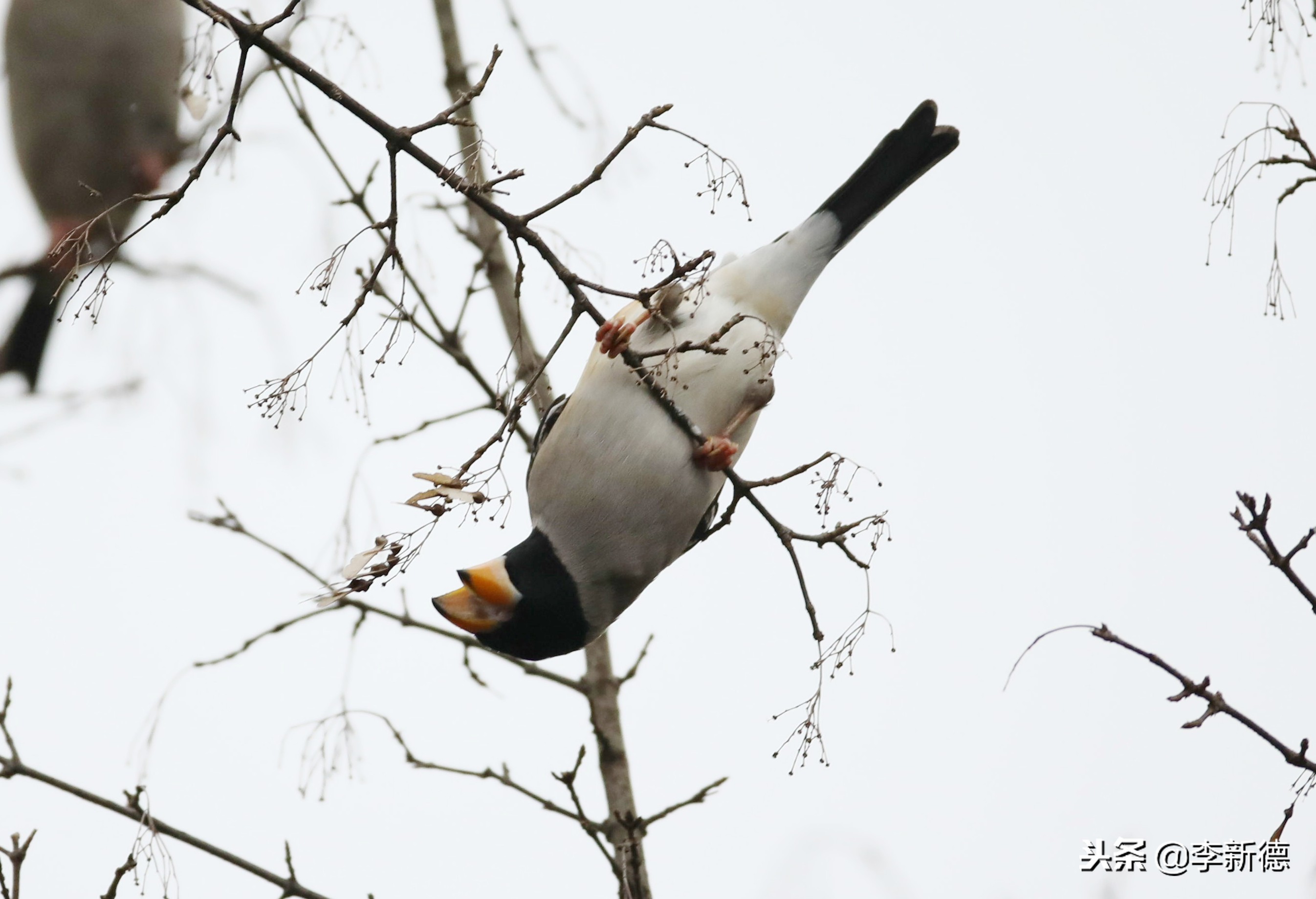 合肥高新区蜀峰湾,合肥市蜀峰湾