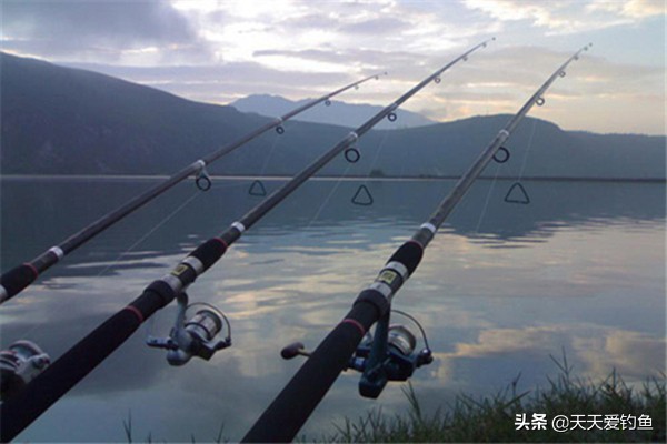 海竿盒饭钓法,海竿弹簧钩底钓技巧