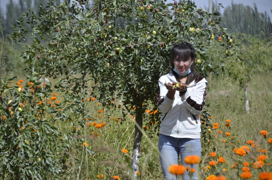 我们的生活像蜜一样甜,我们的生活如蜜甜