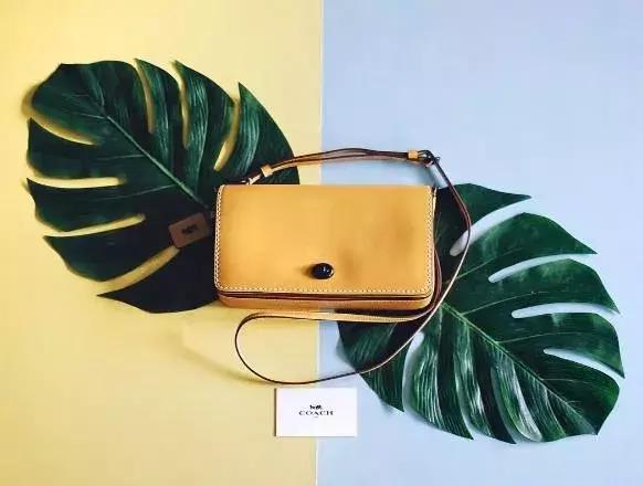 品牌女包包推荐网红款2022年新款,最近两年流行的包包品牌