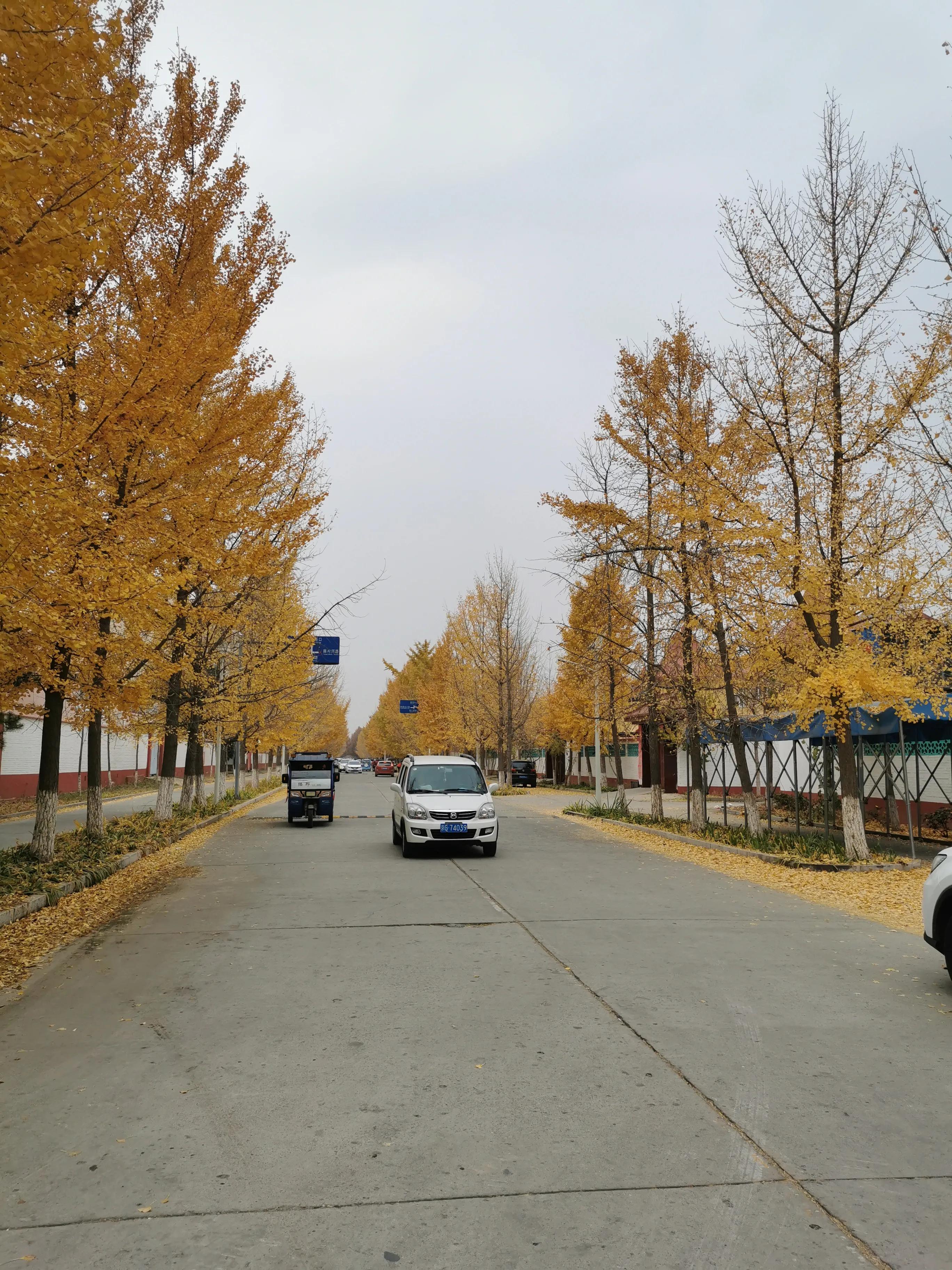 北京房山最美乡村项目,韩村河是中国十佳乡村吗