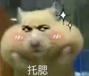 如何成为蓝星聊天群管理员攻略指南