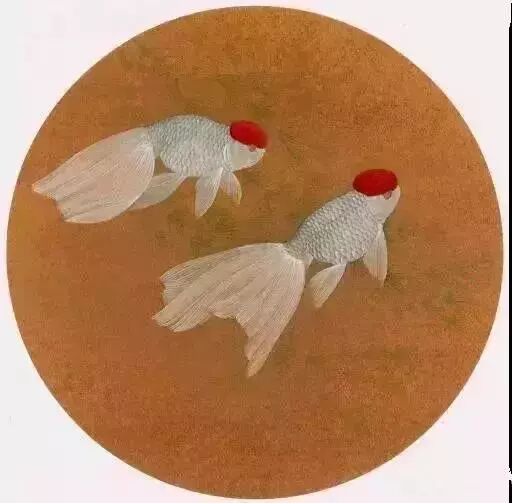 工笔金鱼线稿100例,工笔金鱼图片大全大图