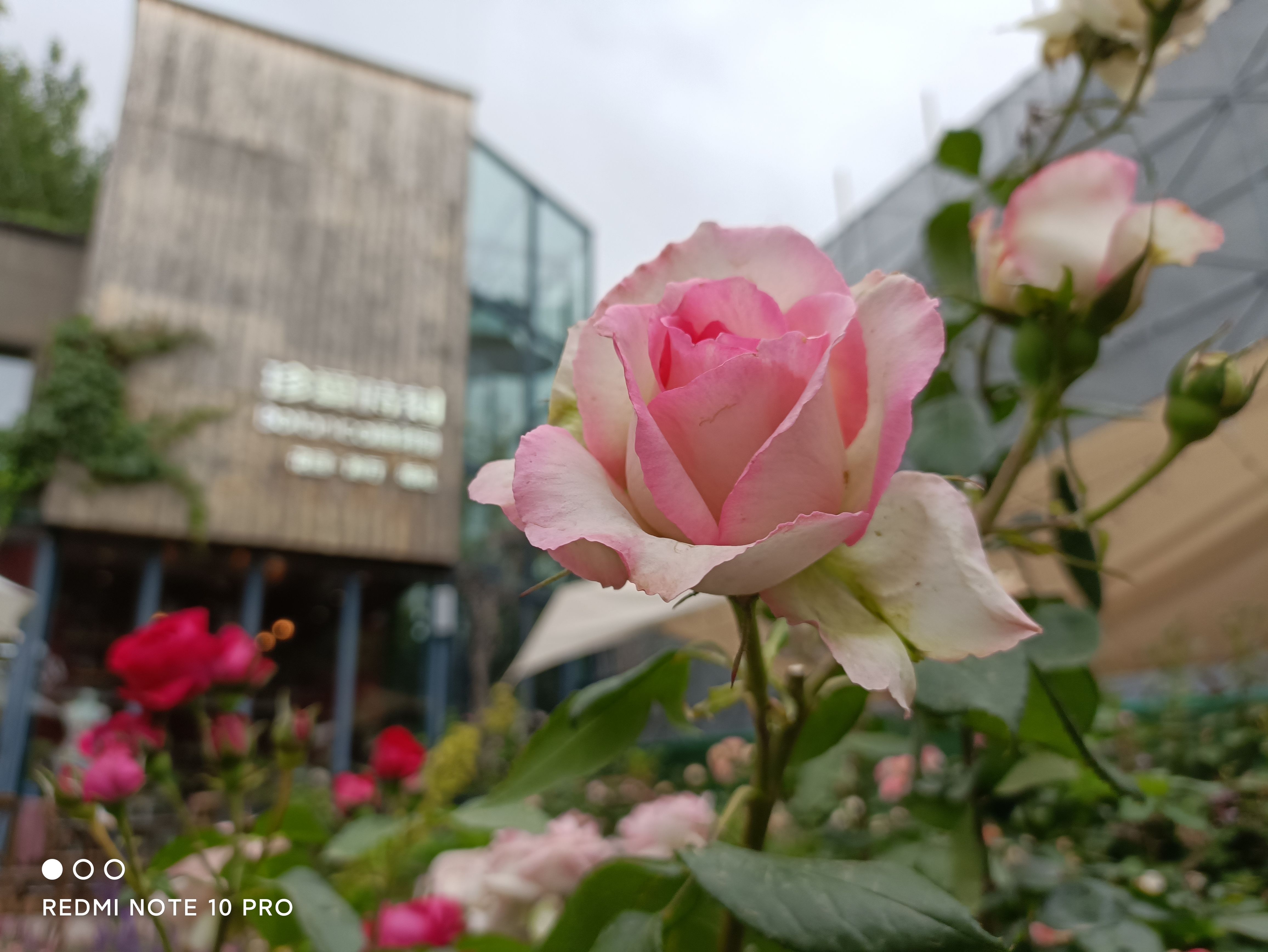 redminote10护眼屏,redminote10全面屏