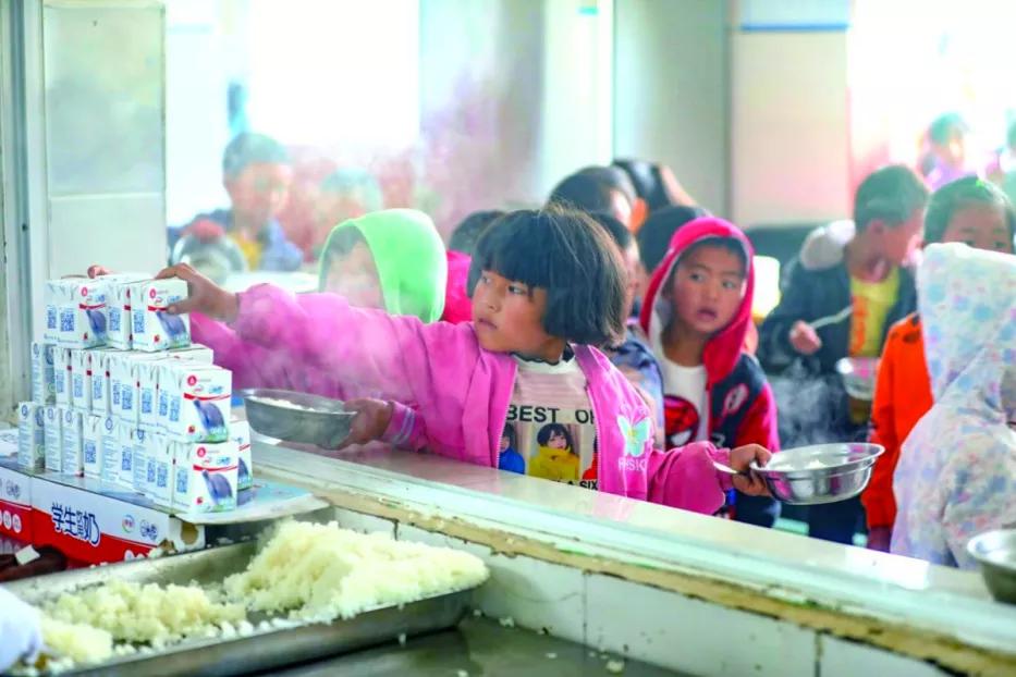 伊利企业可持续性发展,伊利乳业发展能力分析