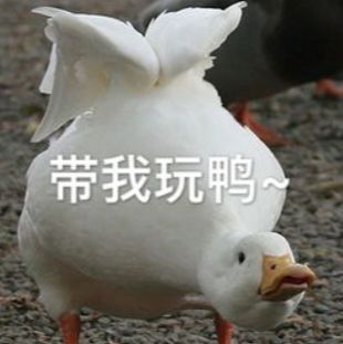 12月份上海周边好去处,上海年轻人周末玩乐好去处