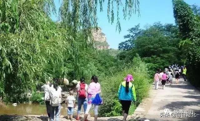 清凉夏日一起游玩,清凉夏日的奇幻邂逅