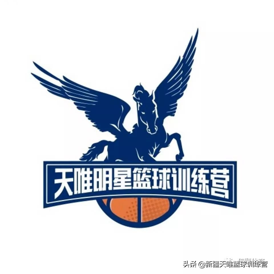 篮球的1-5号位都是干什么的？