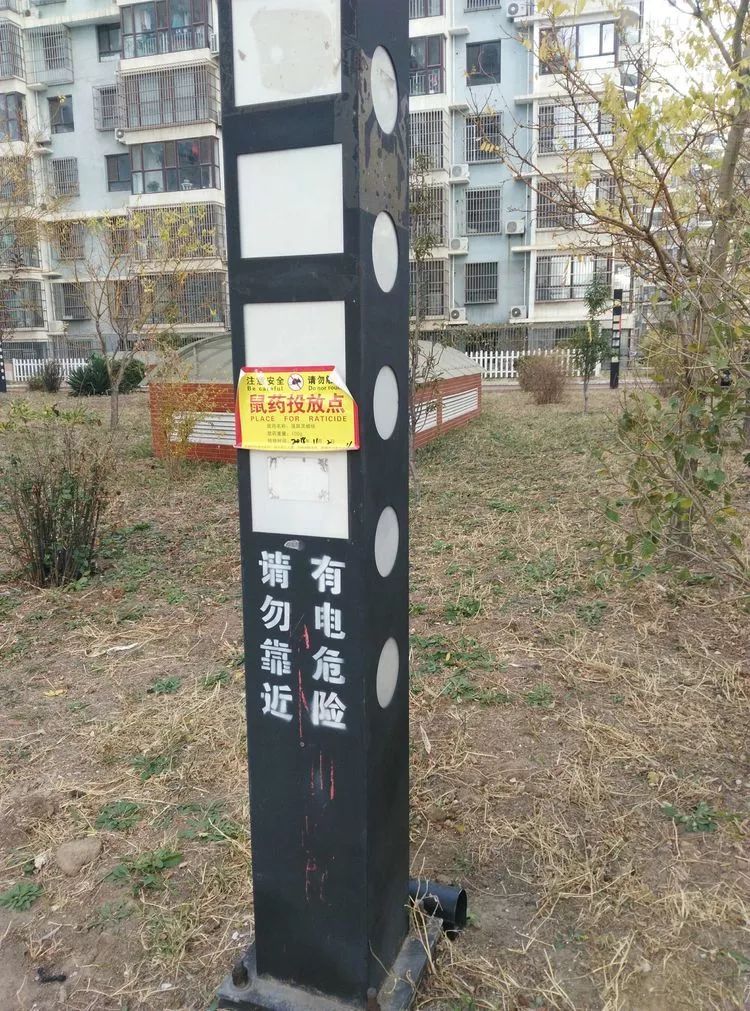 老景说事儿「小区投了老鼠药？家家户户要知道！」