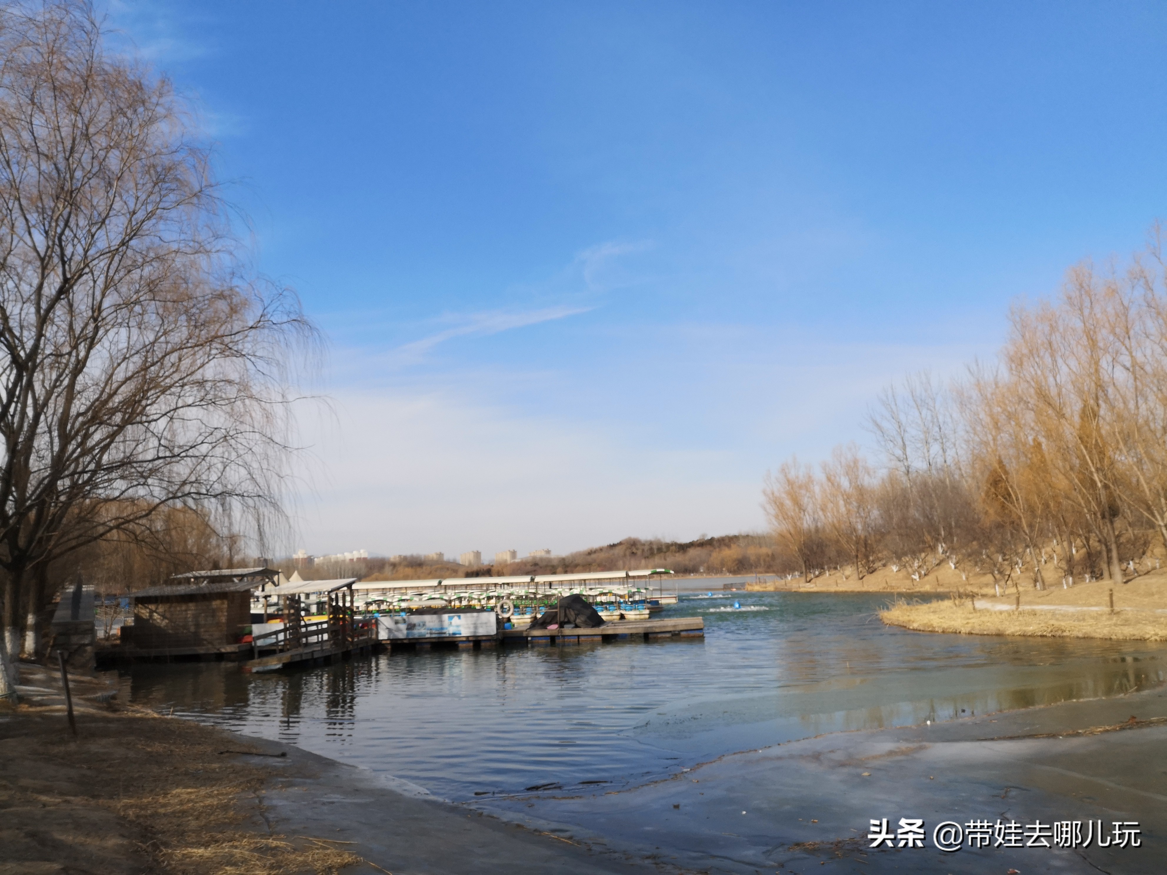 懒人妈妈百天布置,懒人妈妈的操作大法