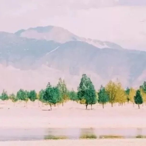 有趣的锁骨千篇一律,好看有趣的锁骨