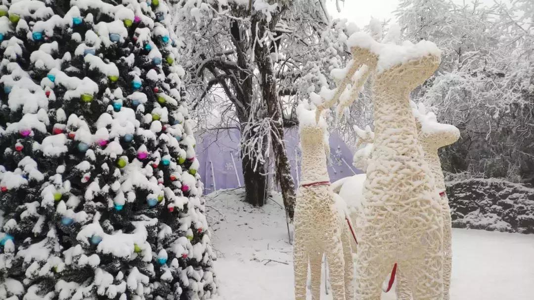 第25届峨眉山冰雪温泉节怎么抢票,2023峨眉山冰雪温泉节是干嘛的