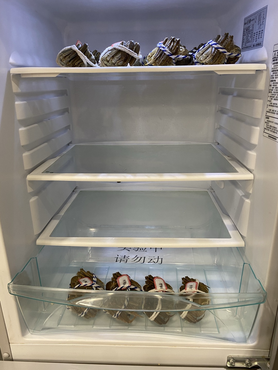 螃蟹死了怎么办最好,螃蟹怎么就死不了了