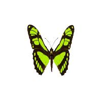 去兰坪旅游值得逛的地方,去了一次就喜欢的城市