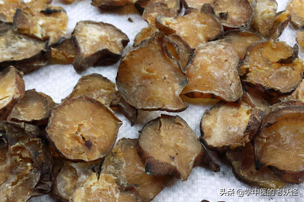 附子是什么中药,每日学一味中药附子