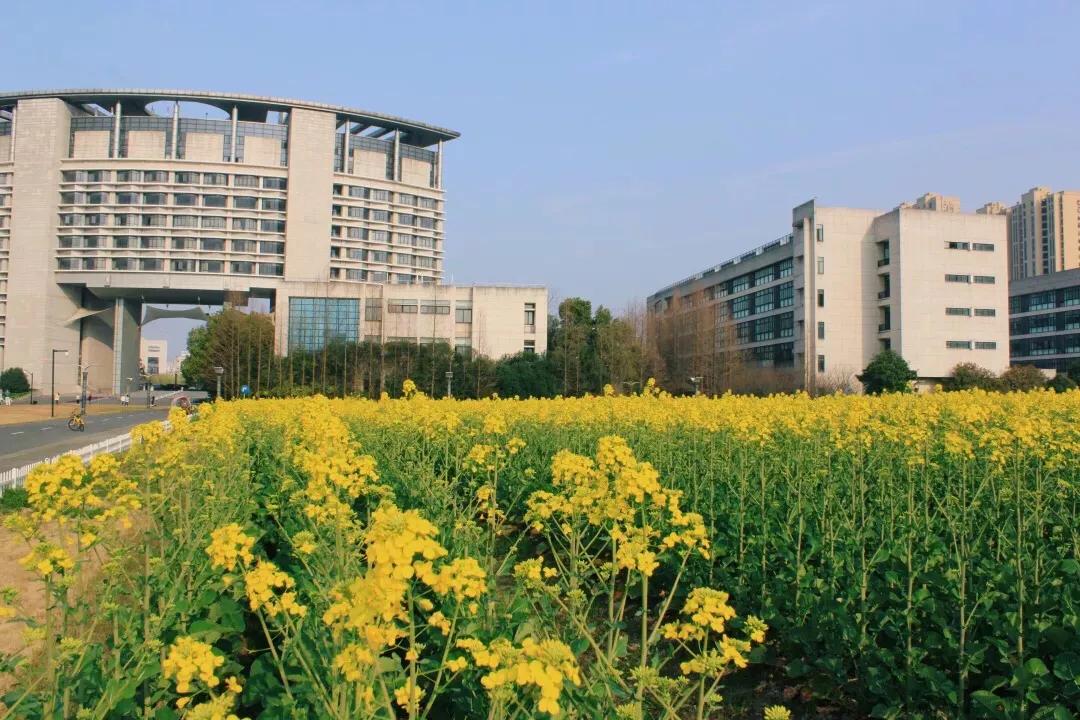 踏春邀请函怎么写,邀请朋友踏春邀请函制作