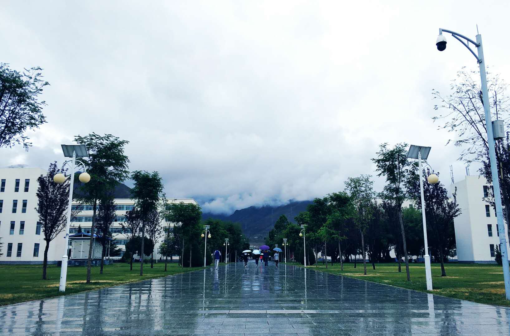 全国顶尖211大学有哪些,最高级的10所211高校