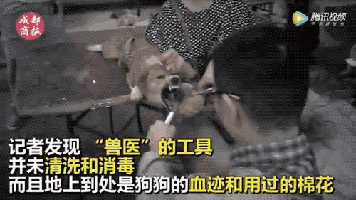 “割声带、截肢、电击，当爱变成我的噩梦”