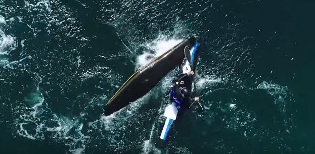 推人不犯规动作,推人不犯规