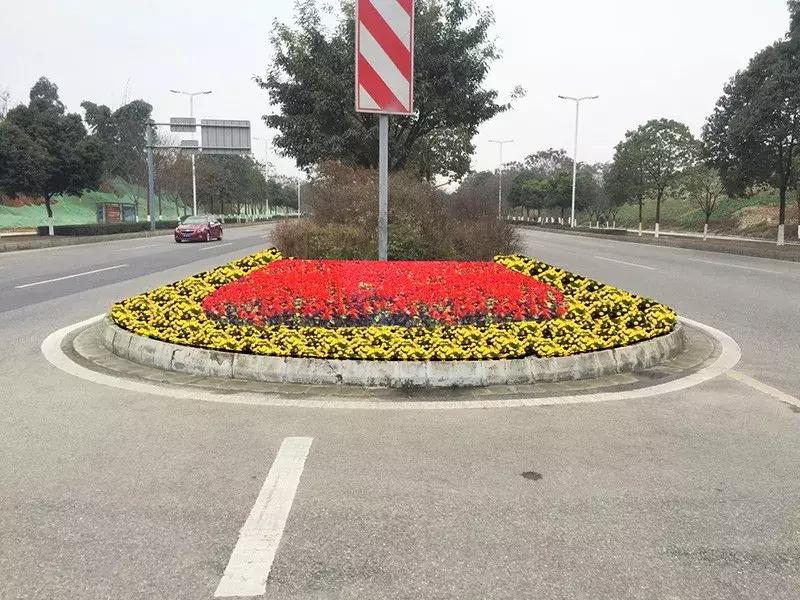 双流区绿化景观,双流县景观花园设计