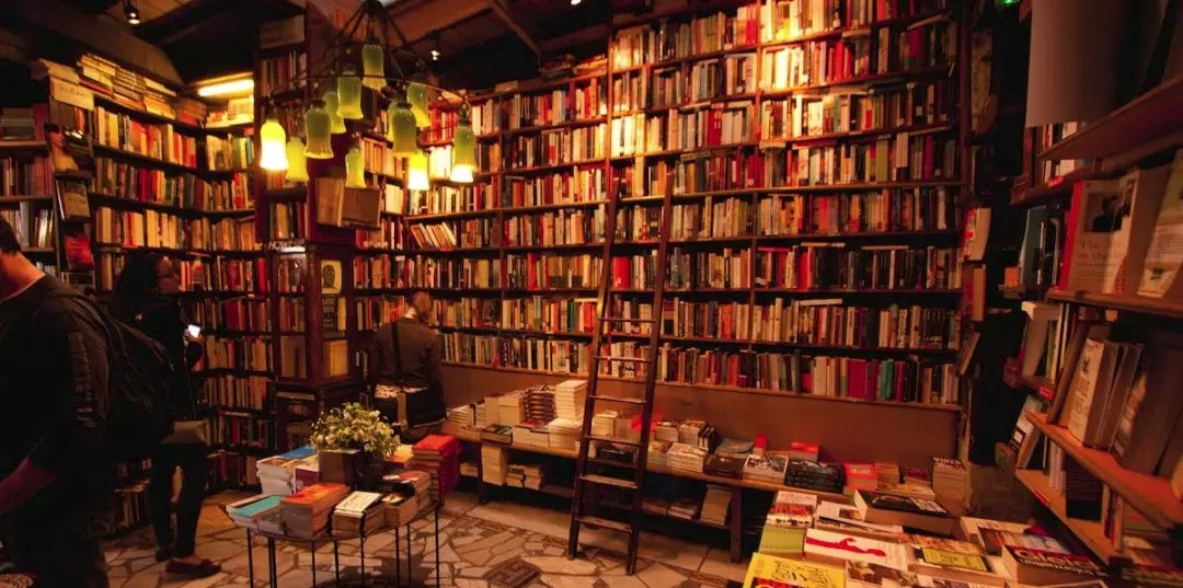 带孩子逛书店看到一套读物,带孩子看看书里的世界