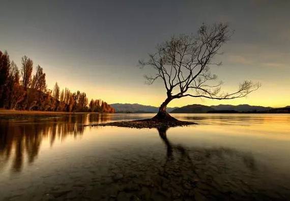 高考作文素材经典语段积累100字,高考论语必背部分