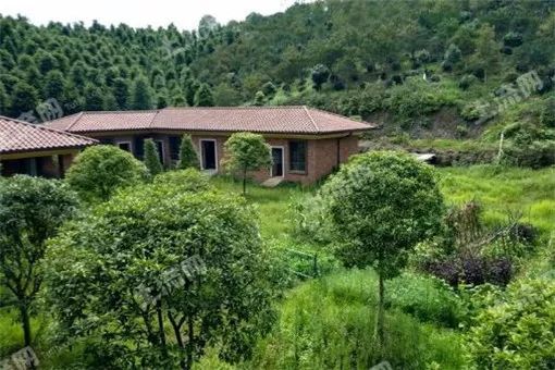 农村宅基地建房政策2022地区,农村建房政策2020什么是一户一宅