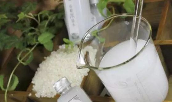 一帆风顺叶尖发黄？掌握5个小技巧，叶片翠绿，花苞蹭蹭窜