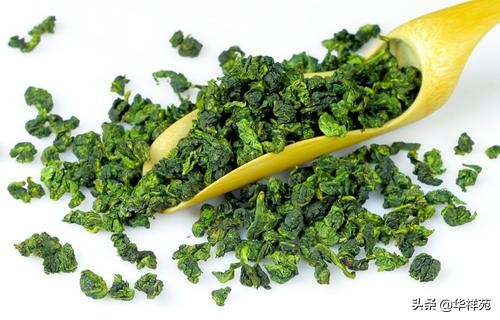 什么是铁观音茶叶,什么是铁观音春茶